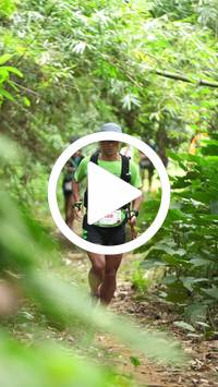 BIB:  <button type="button" onclick="openModal(26821954)" class="btn btn-primary btn-sm float-right" data-toggle="modal" data-target=".modal-high-quality">
                <i class="fa fa-download"></i> Download
                </button>